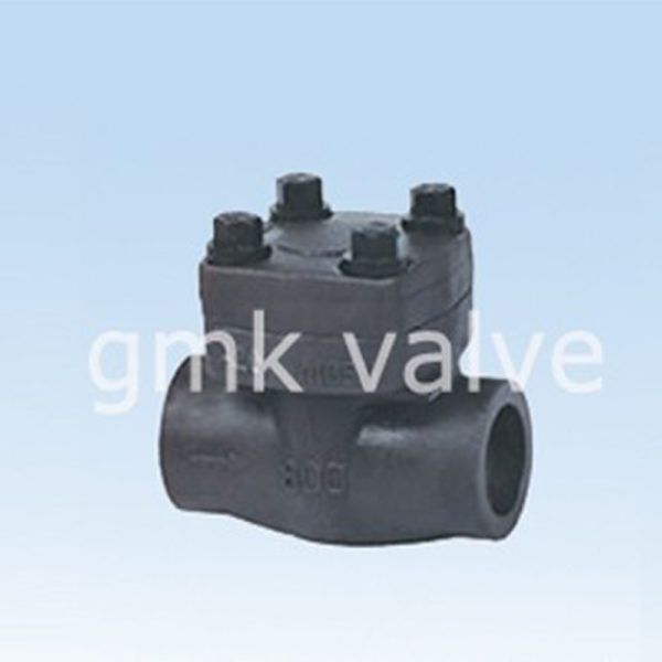 Why You Should Use Forged Steel Piston Check Valve GMK